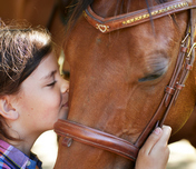 Strangvac - ett vaccin mot kvarka på häst